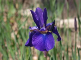 img0021.jpg