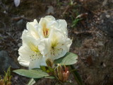 img0023.jpg
