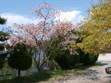 img0027.jpg