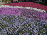 img0044.jpg