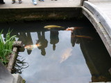 img0031.jpg