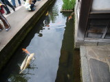 img0032.jpg