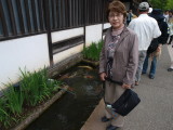 img0033.jpg