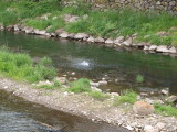 img0050.jpg