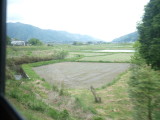 img0081.jpg