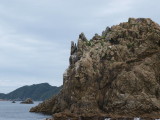img0010.jpg