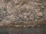 img0030.jpg