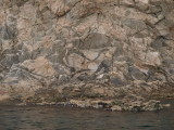 img0031.jpg