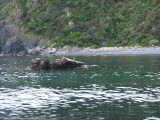 img0042.jpg