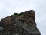 img0056.jpg
