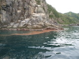 img0058.jpg
