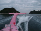 img0071.jpg