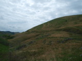 img0075.jpg