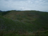 img0078.jpg