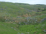img0083.jpg