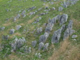 img0084.jpg