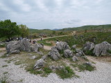 img0085.jpg