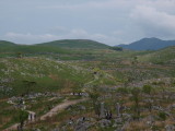 img0092.jpg