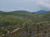 img0093.jpg