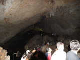 img0113.jpg