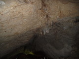 img0114.jpg
