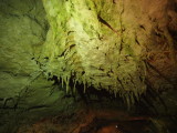 img0122.jpg