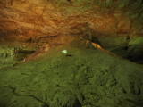 img0130.jpg