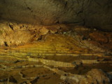 img0133.jpg