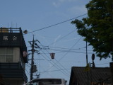img0148.jpg