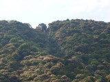 img0160.jpg