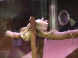 img0165.jpg