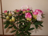img0002.jpg