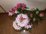 img0006.jpg