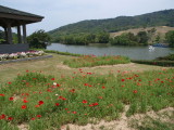 img0016.jpg