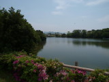img0017.jpg