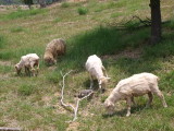 img0018.jpg
