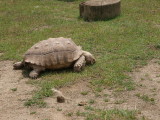 img0019.jpg