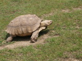 img0020.jpg