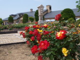img0022.jpg