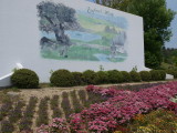 img0025.jpg