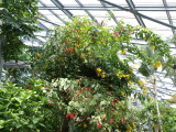 img0027.jpg