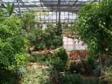 img0029.jpg