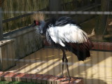 img0030.jpg