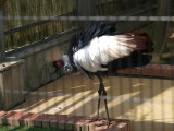 img0031.jpg