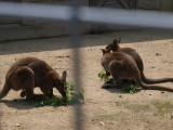 img0035.jpg