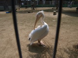 img0037.jpg