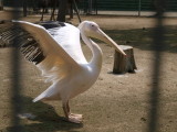 img0038.jpg