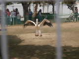 img0039.jpg