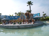 img0071.jpg
