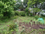 img0005.jpg